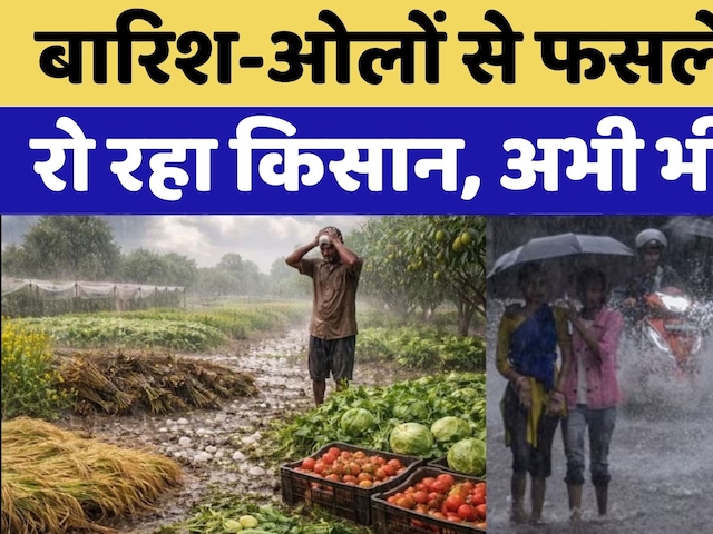 Rajasthan Weather: मौसम का कहर: Hailstorm से Crops को नुकसान | Rajasthan Top News | Rain Alert