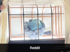 World's First 'Dinosaur Leather' Handbag Created Using Lab-Grown Collagen