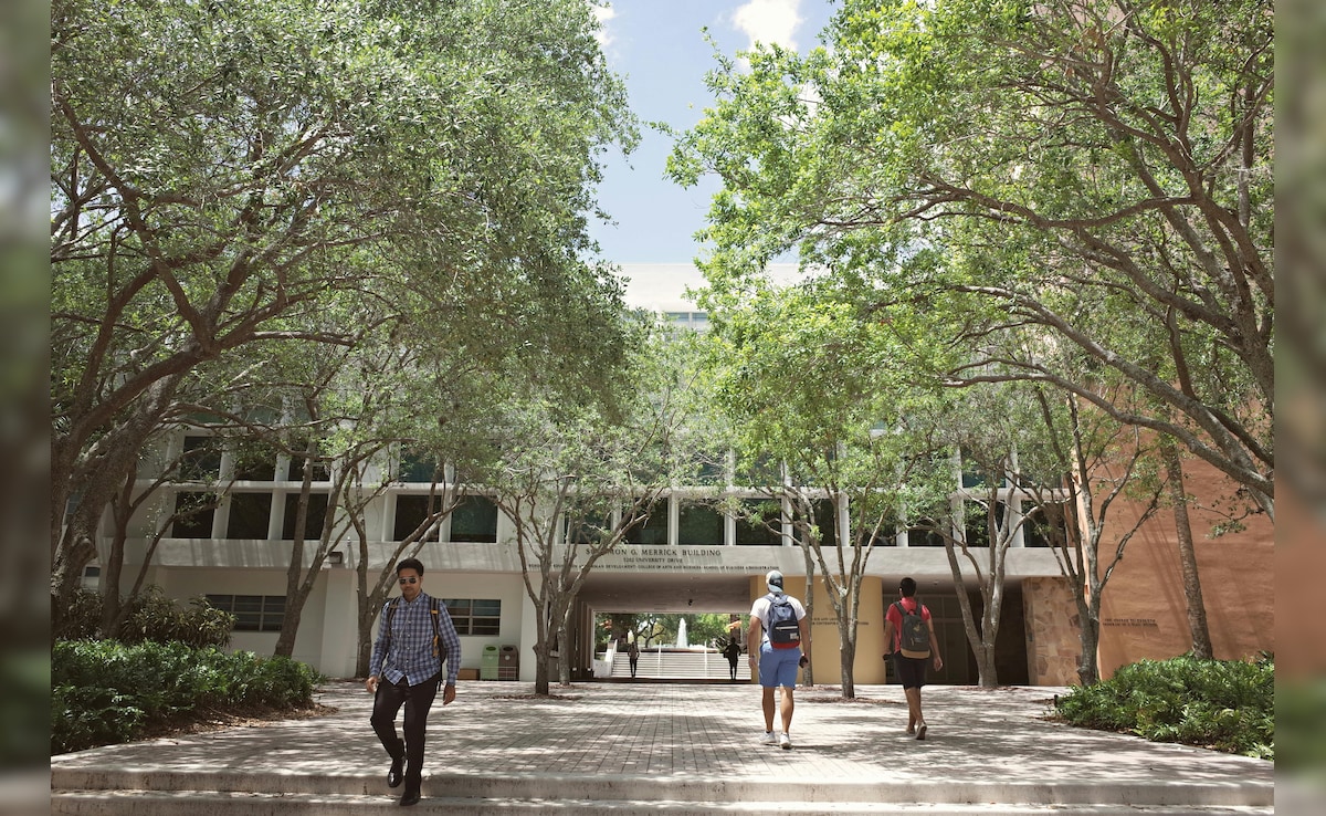 अमेरिका में कॉलेज और यूनिवर्सिटी के बीच क्‍या फर्क होता है?