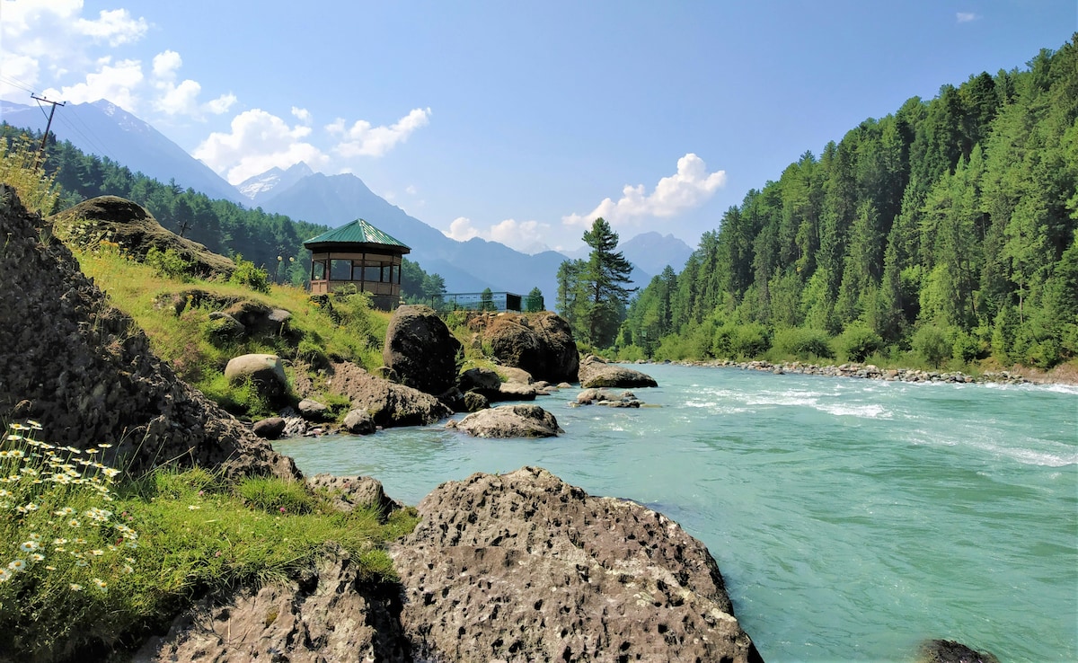 Latest and Breaking News on NDTV