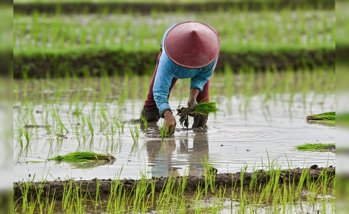 Latest and Breaking News on NDTV