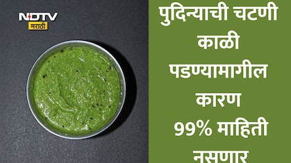 Pudina Chutney: पुदिना चटणी काळी पडण्याचे कारण 99% लोकांना माहिती नसणार, चटणी फ्रेश राहण्यासाठी वापरा या टिप्स