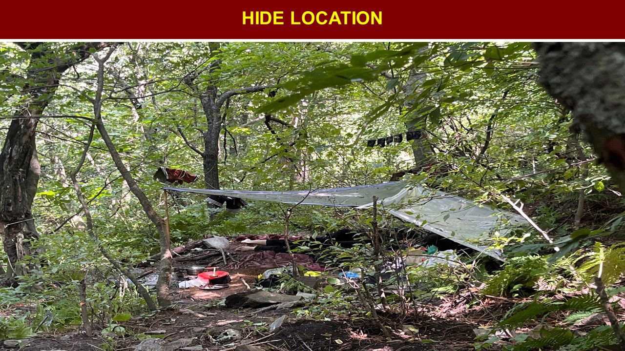 सेना ने बताया कि दाछीगाम के घने जंगलों में पहलगाम के आतंकी इस तरह छिप कर रह रहे थे.