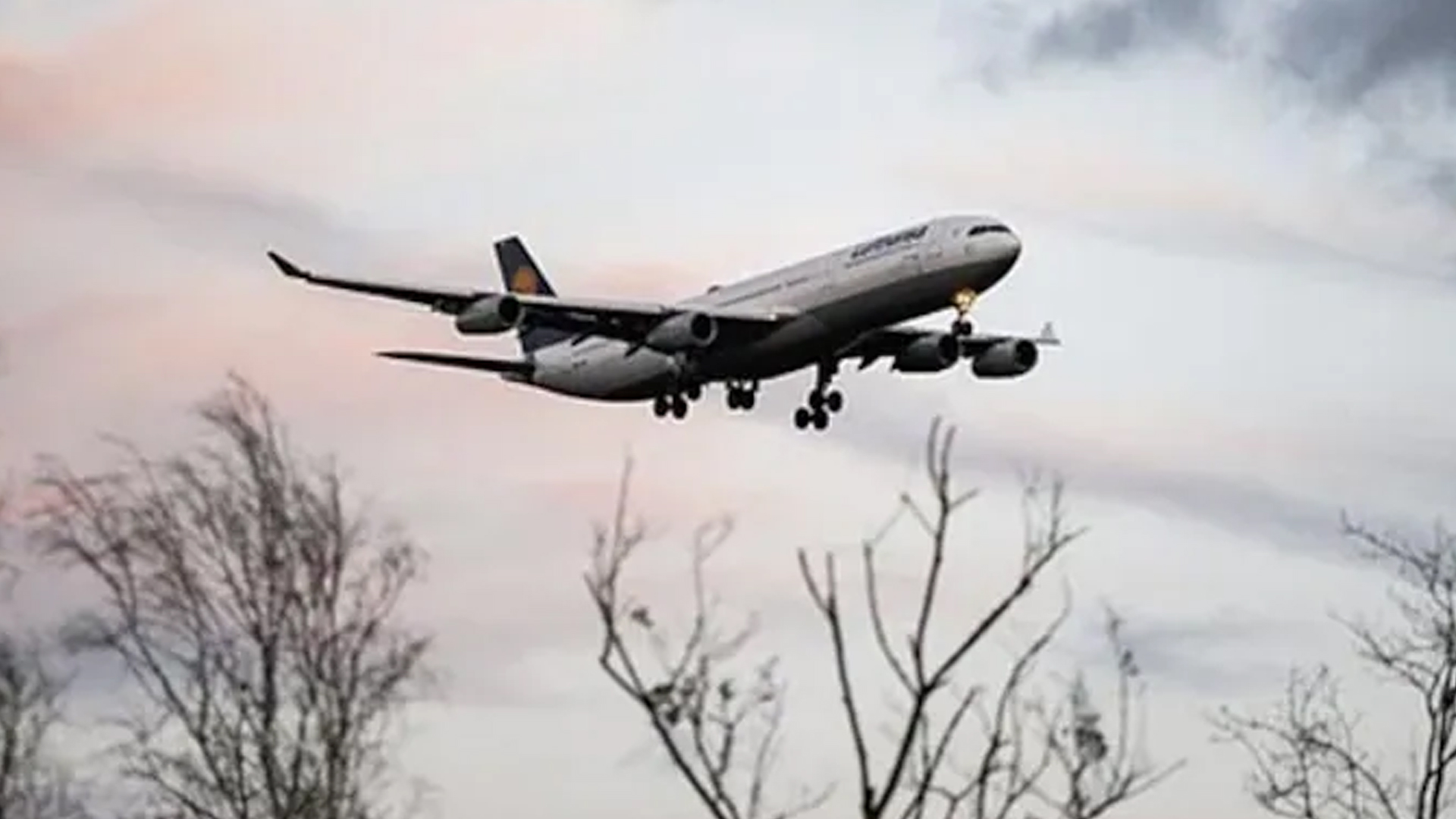 Jet Fuel Prices More Than Doubled, Government Shields Domestic Airlines