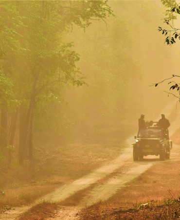 8 Tips For A Safe And Enjoying Jungle Safari