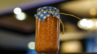 How To Store Dal: दालों में बार-बार लग जाते हैं कीड़े? स्टोर करते समय अपनाएं ये आसान नमक की ट्रिक, लंबे समय तक रहेंगी सुरक्षित