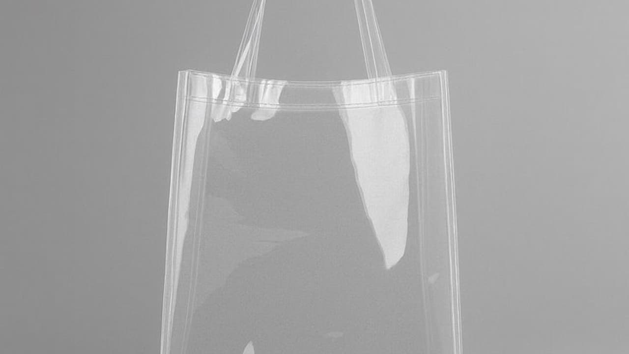 Transparent Bags Looking Cheap? Top Tricks That Make Them Look Elegant