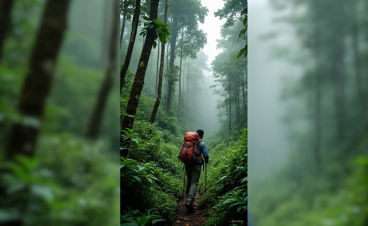 Latest and Breaking News on NDTV