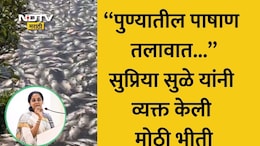 Pune News: 'पुण्यातील पाषाण तलावात 4-5 दिवसांपासून...' सुप्रिया सुळेंनी व्यक्त केली मोठी भीती VIDEO VIRAL