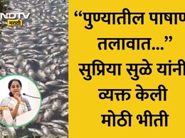 Pune News: 'पुण्यातील पाषाण तलावात 4-5 दिवसांपासून...' सुप्रिया सुळेंनी व्यक्त केली मोठी भीती VIDEO VIRAL