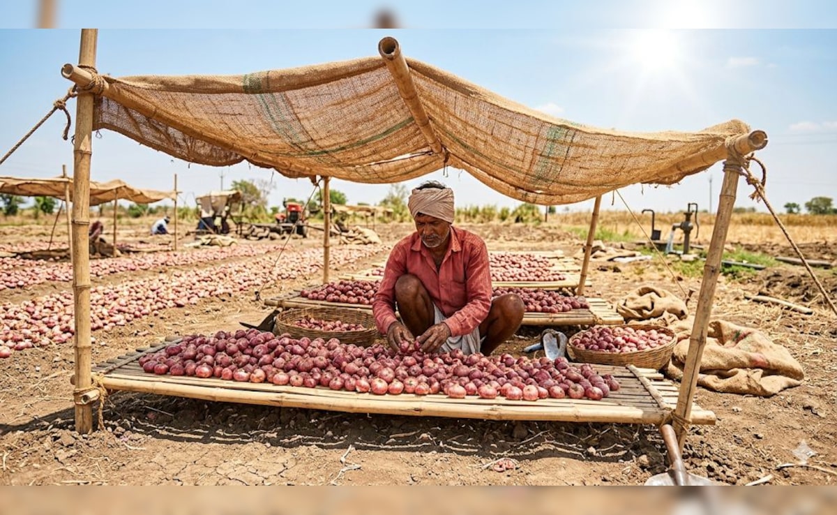 हीट वेव के प्रकोप से सड़ ना जाए प्&zwj;याज, क&zwj;िसान ने बताया कैसे सुरक्ष&zwj;ित करें खेतों में उगी प्&zwj;याज को