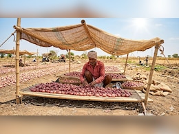 हीट वेव के प्रकोप से सड़ ना जाए प्&zwj;याज, क&zwj;िसान ने बताया कैसे सुरक्ष&zwj;ित करें खेतों में उगी प्&zwj;याज को