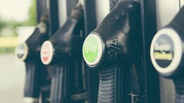 Centre Proposes Higher Ethanol Blend In Petrol; What E85, E100 Rollout Means For Buyers