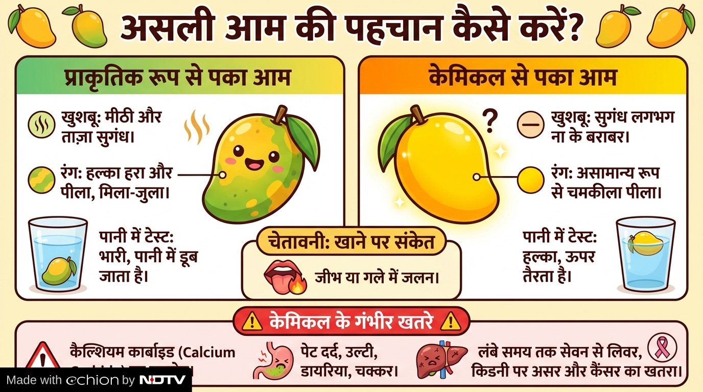 Latest and Breaking News on NDTV