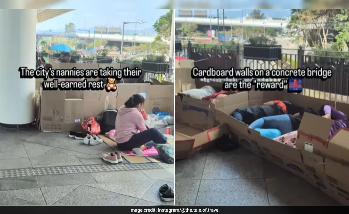 The Art of Baking: From Classic Bread to Artisan Pastries