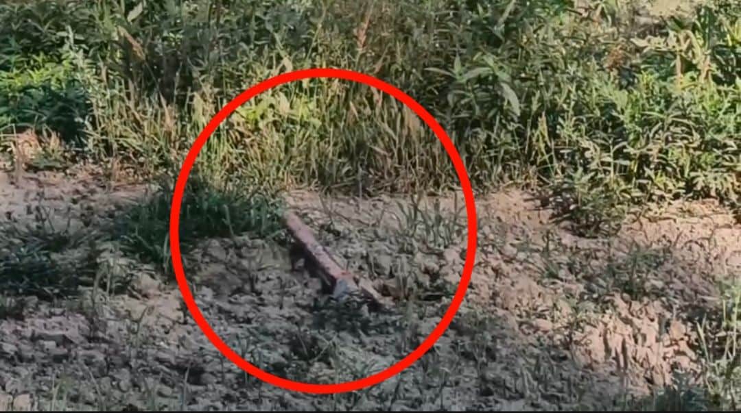 haridwar crime pankaj arrested for murdering friend over love affair bahadrabad