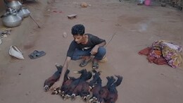रील के चक्कर में जेल: 9 विशाल गिलहरियों का शिकारी धराया, सोशल मीडिया बना सबूत