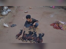 रील के चक्कर में जेल: 9 विशाल गिलहरियों का शिकारी धराया, सोशल मीडिया बना सबूत