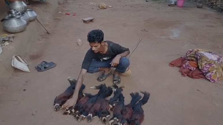 रील के चक्कर में जेल: 9 विशाल गिलहरियों का शिकारी धराया, सोशल मीडिया बना सबूत