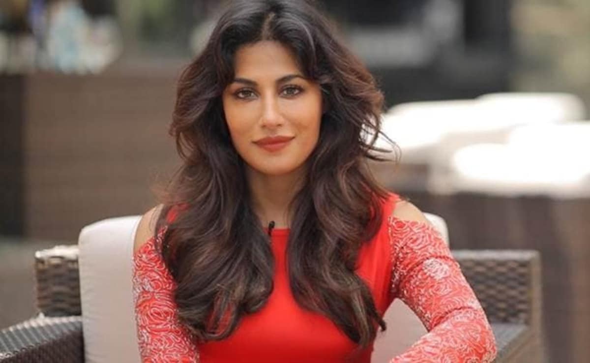 'बड़े स्टार्स के लिए चीजें अलग, हर किसी के साथ संभव नहीं', दीपिका के 8 घंटे शिफ्ट पर खुलकर बोलीं चित्रांगदा