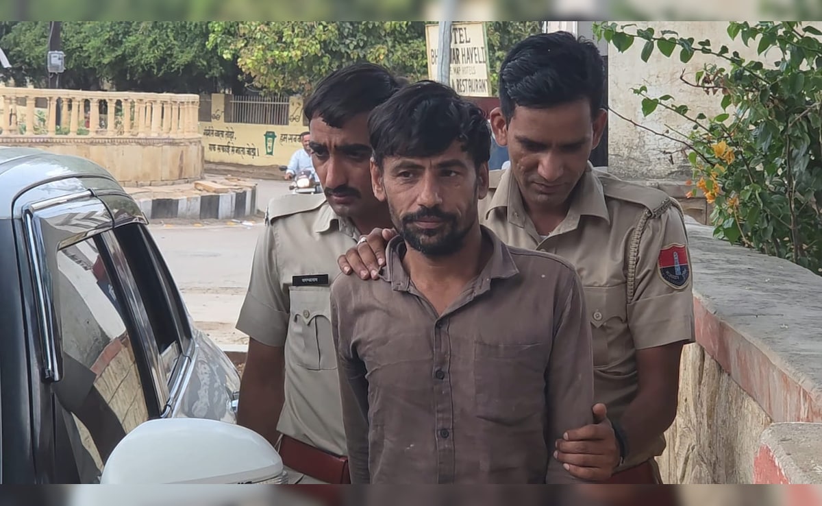 The Art of Baking: From Classic Bread to Artisan Pastries