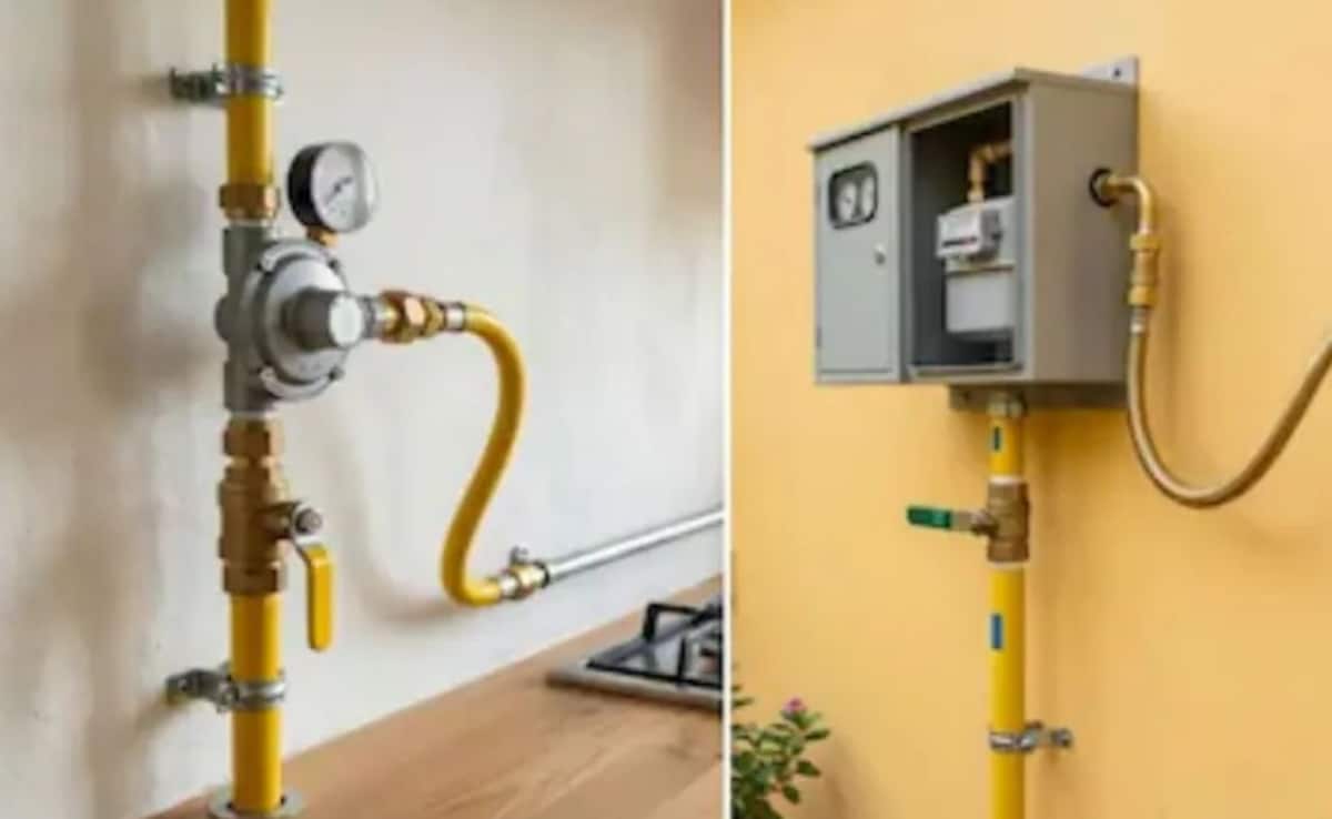 बिहार में PNG का लक्ष्य पूरे नहीं करने वाली कंपनियों पर होगी कार्रवाई, मुख्य सचिव ने दी चेतावनी