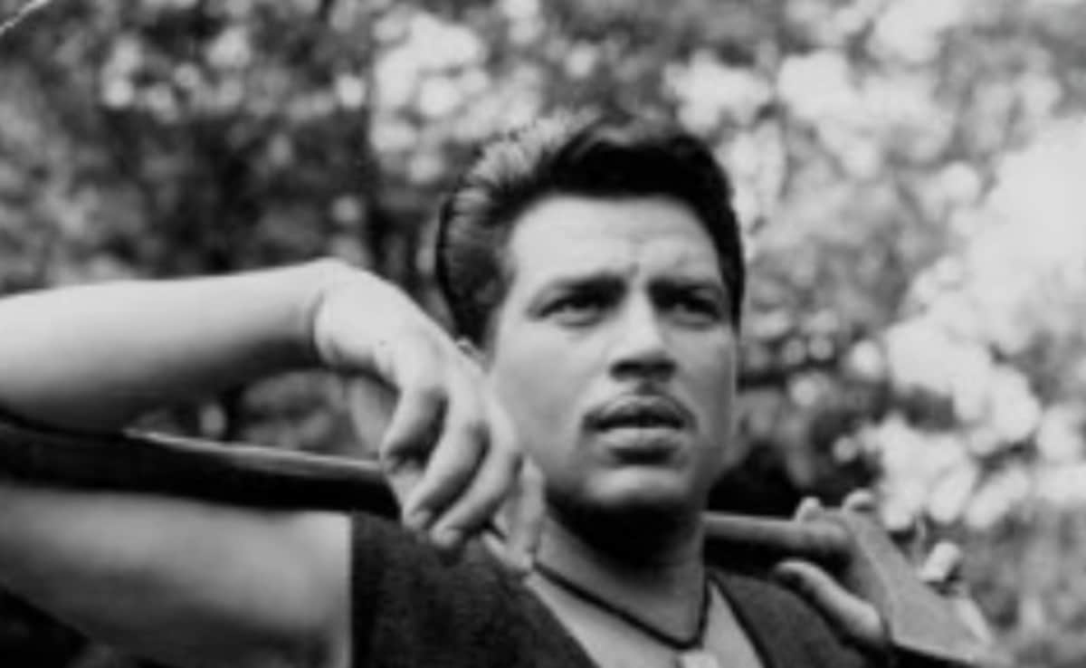 जब धरम पाजी ने लगा के व्हिस्की के पैग पकड़ ली थी बाघ की पूंछ, धर्मेंद्र से डर के बाघ का हुआ बुरा हाल