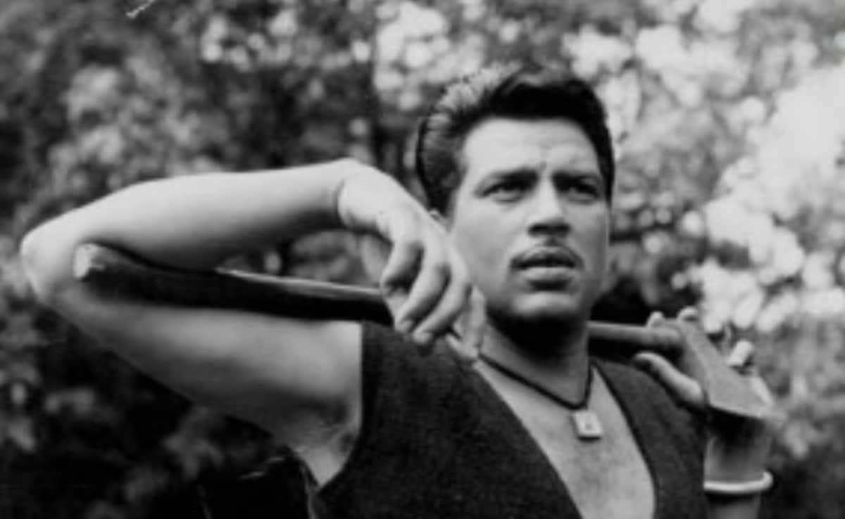 जब धर्मेंद्र ने पकड़ ली थी बाघ की पूंछ, एक्शन सीन देखकर सेट पर खड़े हो गए सबके रोंगटे