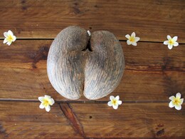 The World's Longest-Growing Fruit Comes From A Remote Island