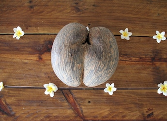 The World's Longest-Growing Fruit Comes From A Remote Island