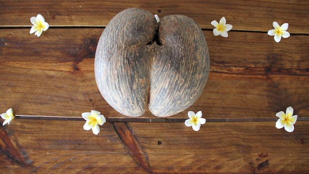 The World's Longest-Growing Fruit Comes From A Remote Island