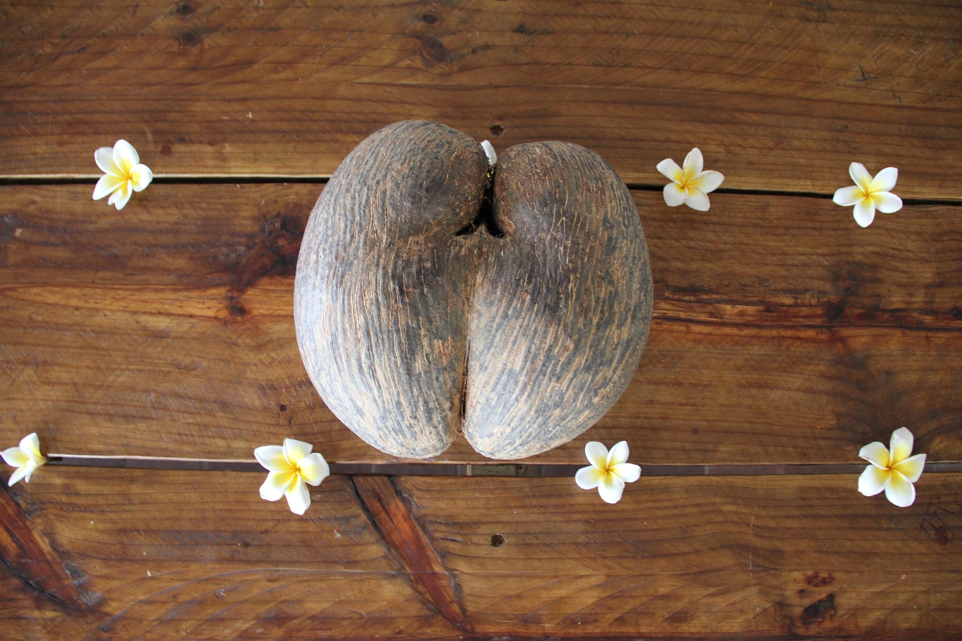 The World's Longest-Growing Fruit Comes From A Remote Island