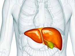 Liver Damage : रात्रीच्या वेळी लिव्हर डॅमेजची दिसतात लक्षणं, अजिबात दुर्लक्ष करू नका, डॉक्टरांनी दिले संकेत