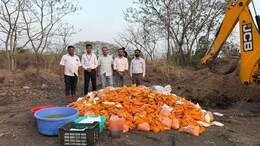 Pune Food Authority Busts 3,800 kg Mango Pulp Mixed With Unsafe Food Colours
