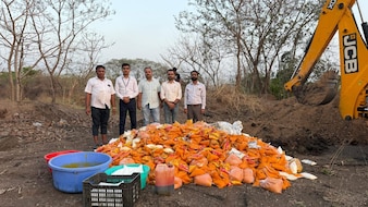 Pune Food Authority Busts 3,800 kg Mango Pulp Mixed With Unsafe Food Colours