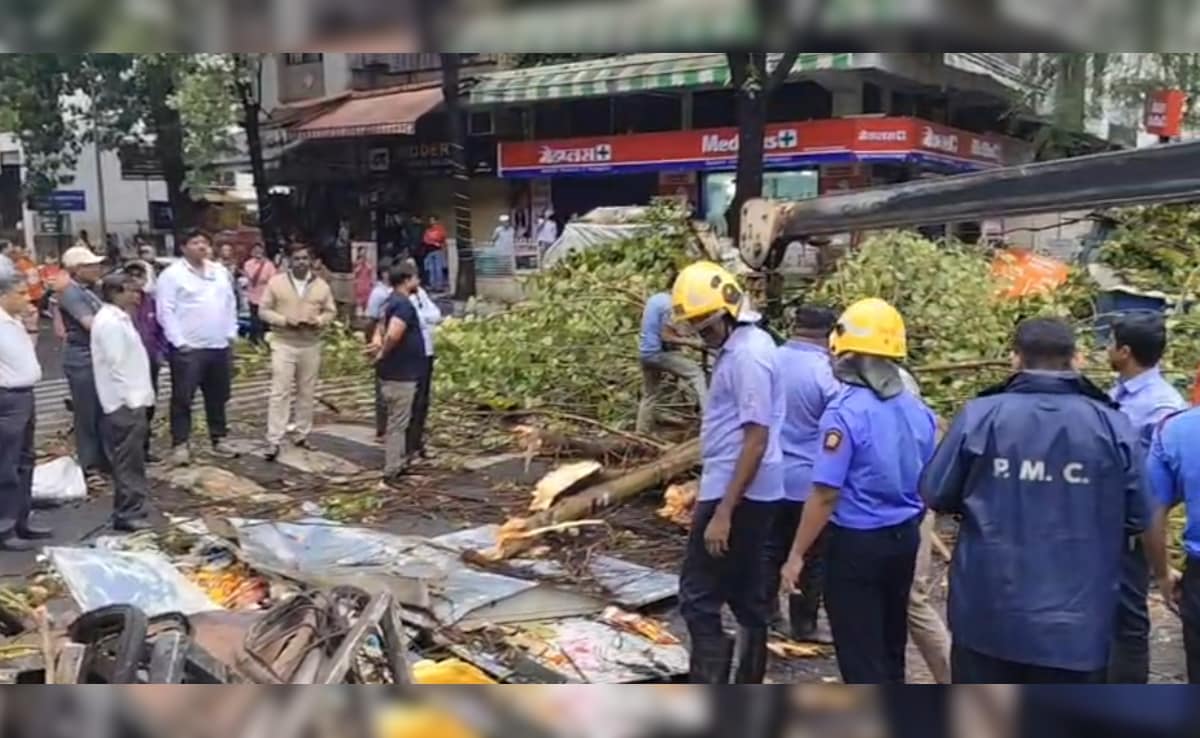 Woman Killed After Tree Falls On Her During Unseasonal Rain In Pune
