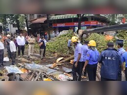 Woman Killed After Tree Falls On Her During Unseasonal Rain In Pune