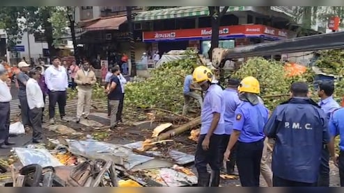 Woman Killed After Tree Falls On Her During Unseasonal Rain In Pune