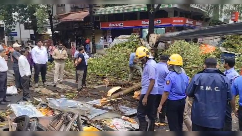 Woman Killed After Tree Falls On Her During Unseasonal Rain In Pune