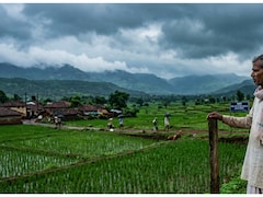 No Rain, No Gain: Why Monsoon Matters To Stock Markets