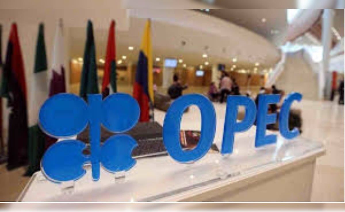OPEC से बाहर हुआ UAE, क्या भारत के लिए खुल गया सस्ते तेल का रास्ता?