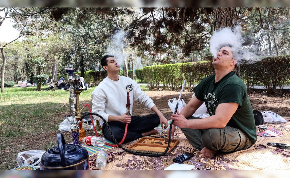 ट्रंप की धमकी को धुएं में उड़ा रहे ईरान के लोग, युद्ध के बीच तेहरान के पार्क में हुक्का पार्टी-Photos