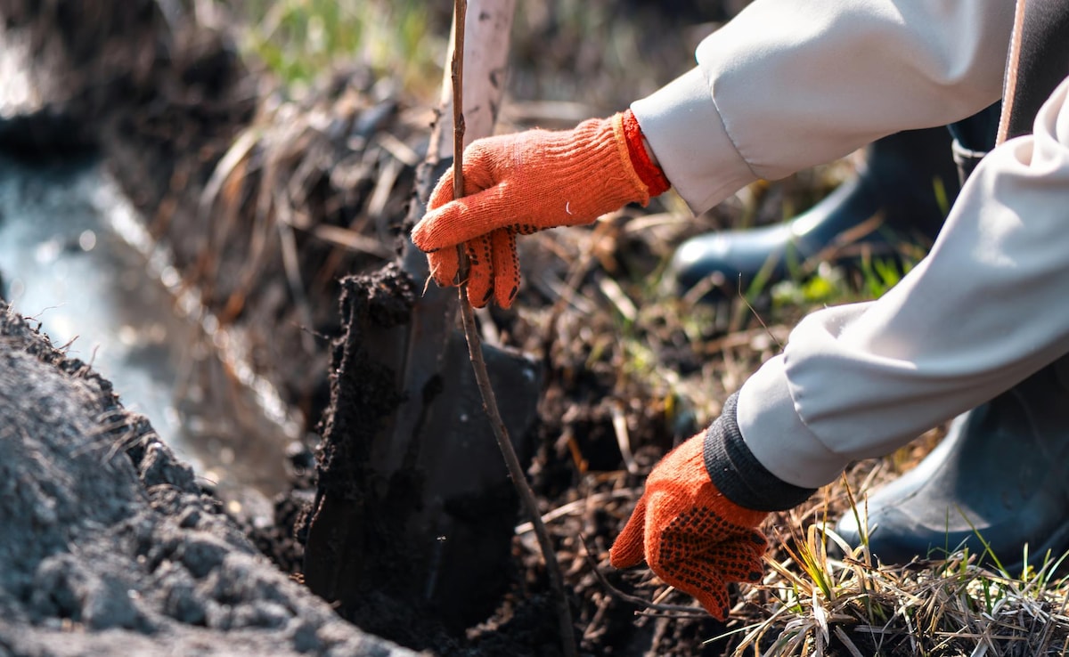 Soil contamination Soil contamination