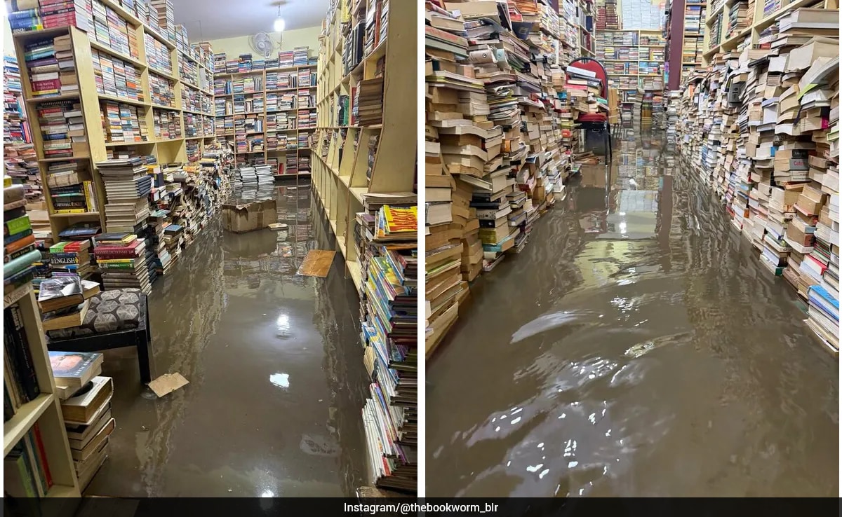 The Art of Baking: From Classic Bread to Artisan Pastries