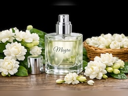 पसीने की बदबू हो जाएगी गायब! घर पर बनाएं मोगरे के फूलों का इत्र, नहीं पड़ेगी महंगे परफ्यूम की जरूरत