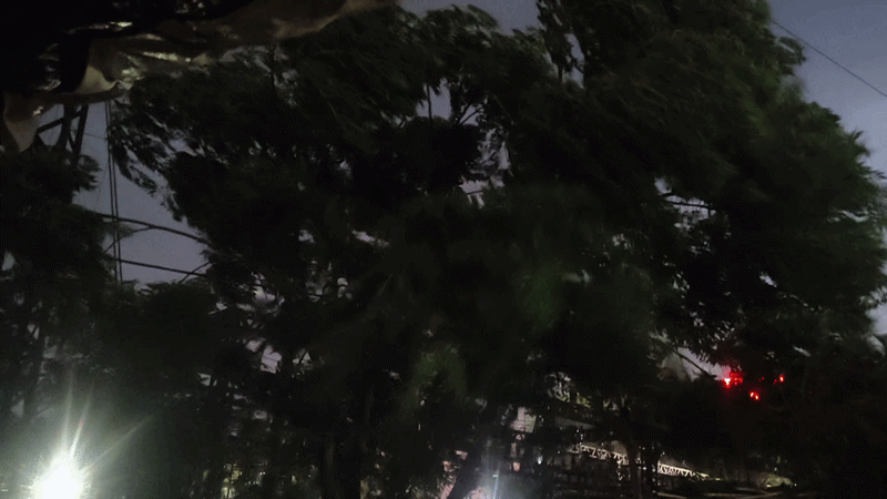 Rajasthan Weather: राजस्&zwj;थान में झमाझम बार&zwj;िश ने झुलसाने वाली गर्मी से द&zwj;िलाई राहत, जानें अपने ज&zwj;िले के मौसम का हाल