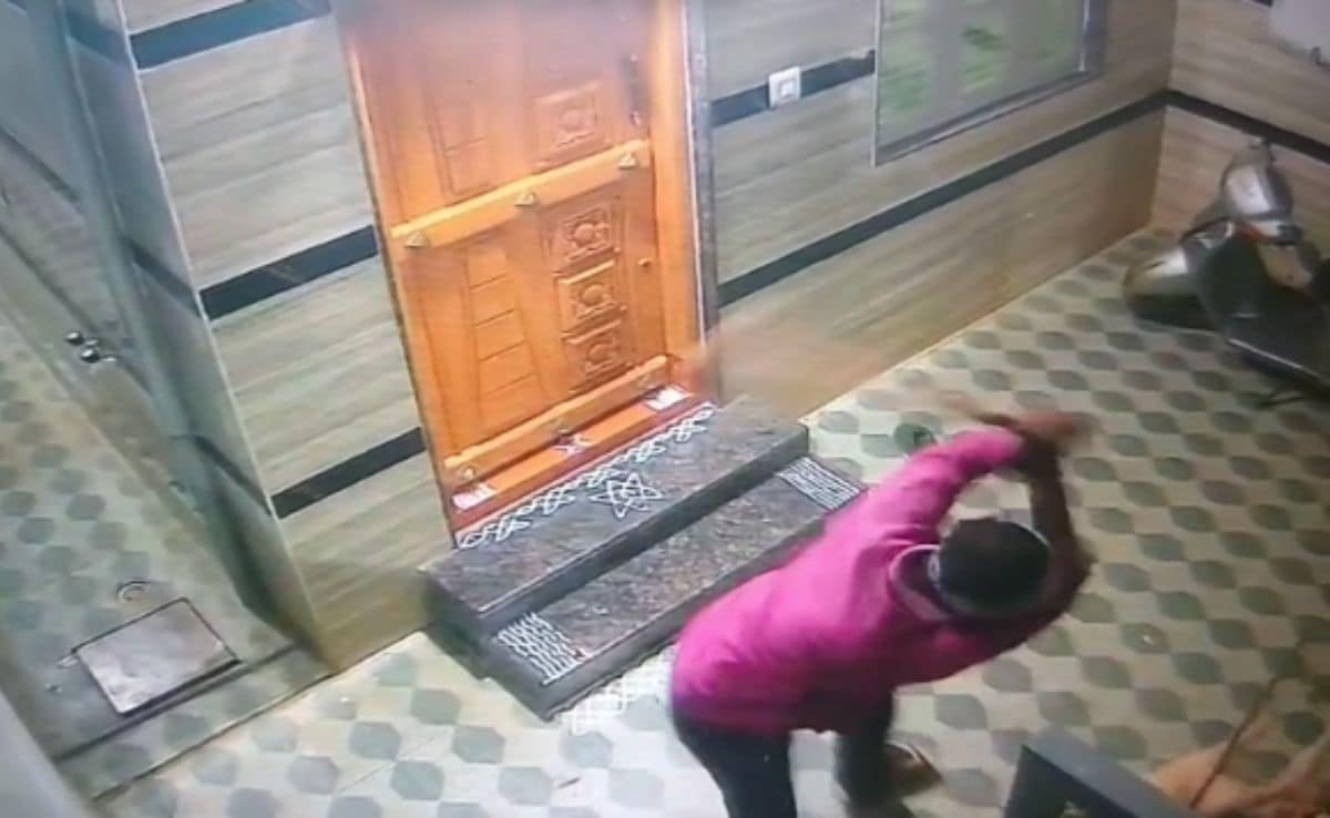 Bengaluru Man Thrashes Neighbour's Dog For Barking At Wife