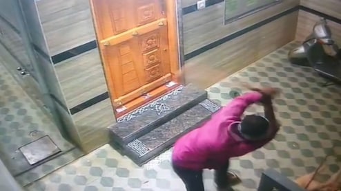 Bengaluru Man Thrashes Neighbour's Dog For Barking At Wife