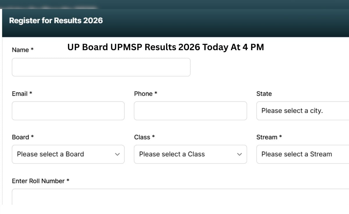The Art of Baking: From Classic Bread to Artisan Pastries