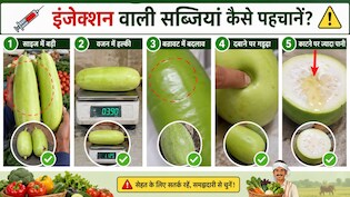 कहीं आप भी तो नहीं खा रहे इंजेक्शन वाली सब्जियां? बस इन 5 ट्रिक से घर बैठे चल जाएगा पता